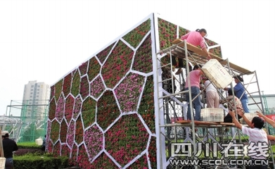 4000萬盆鮮花同時開放扮靚首都 - 中國自貢燈會,燈會彩燈界的行業(yè)門戶網(wǎng)站,聚合彩燈企業(yè)提供最全的彩燈會燈展花車信息,搜羅展會活動信息和歷屆燈會集錦